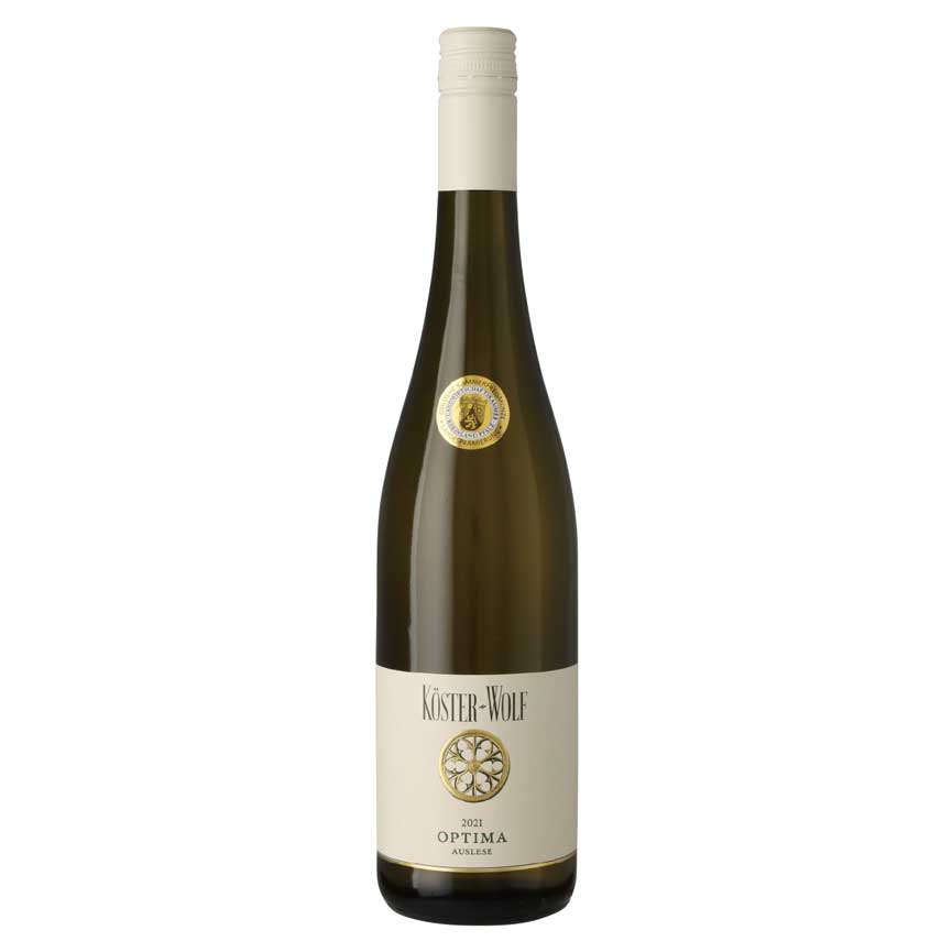 Albiger Hundskopf (2021)